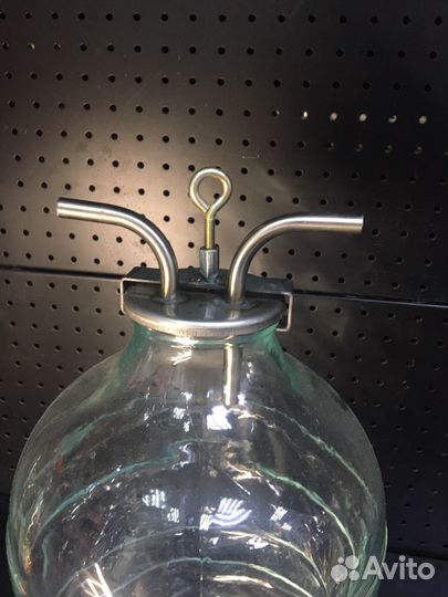 Сухопарник