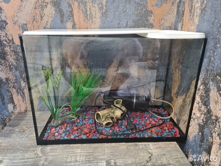 Аквариум