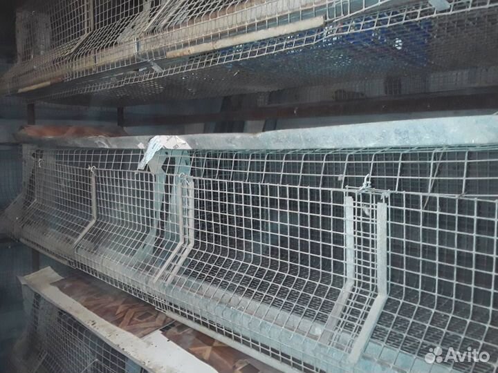 Клетки для сх птицы
