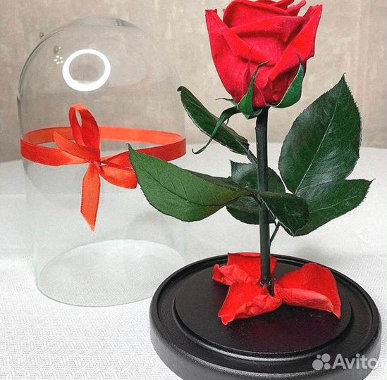 Роза в колбе