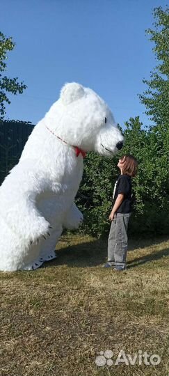 Поздравление белый Мишка