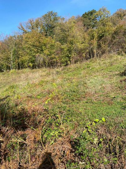 Участок 10 сот. (СНТ, ДНП)