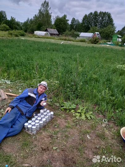 Свинец в чашках