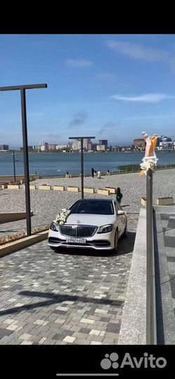 Прокат авто на свадьбу
