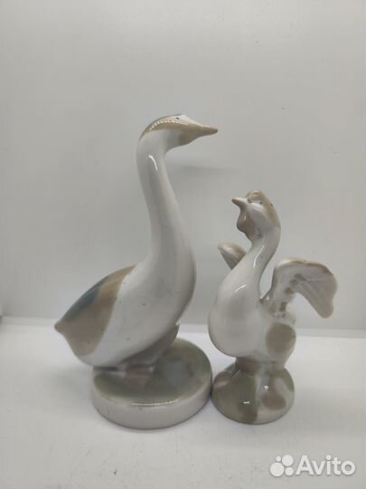 Гуси Городница