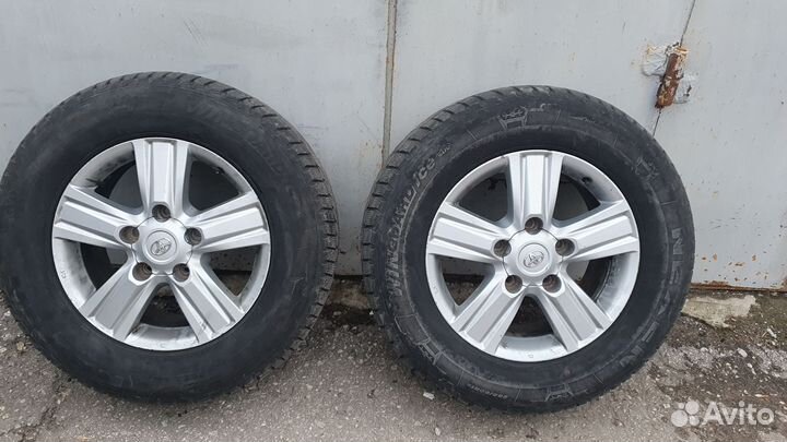Nexen Winguard Ice SUV 285/60 R18 116T