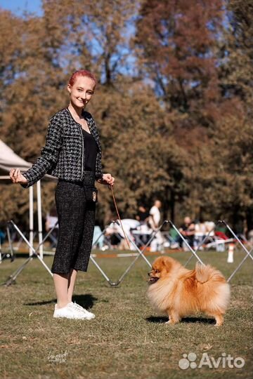 Услуги хендлера