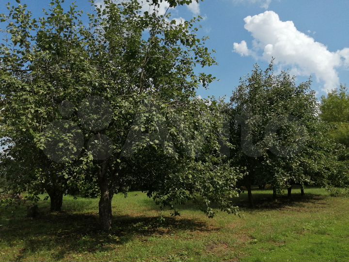 Дом 46,7 м² на участке 58 сот.