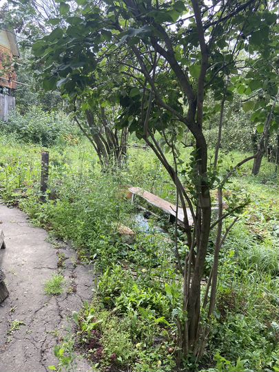 Дом 47 м² на участке 5,5 сот.