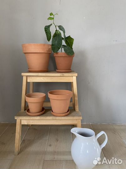 Глиняный горшок