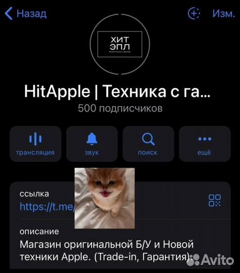 iPhone 15, 128 ГБ