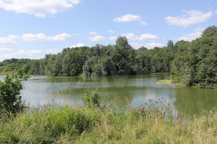 Участок 25 га (ИЖС)