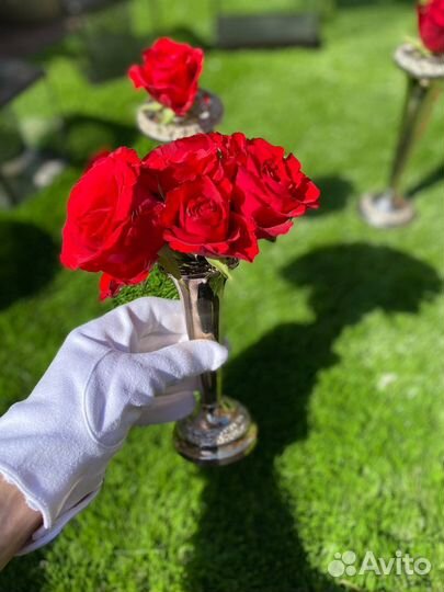 Роузбол англия посеребрение