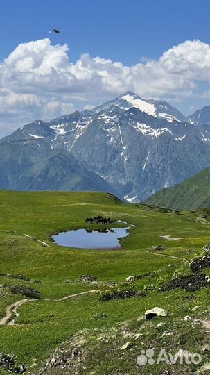 Походы по горам Сочи