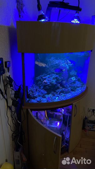 Морской аквариум угловой