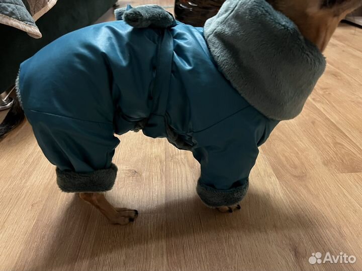 Зимняя куртка для собак