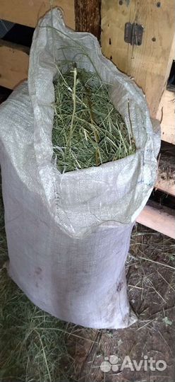 Свежее Сено