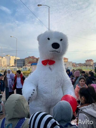 Белый мишка поздравление аниматор на праздник