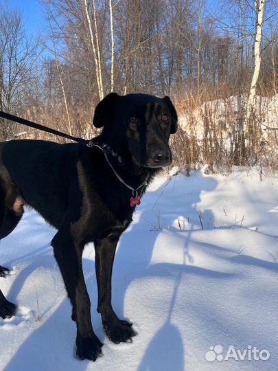 Мартюшечка ищет родителей