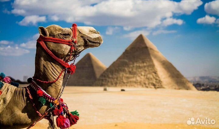 Горящие туры в Египет