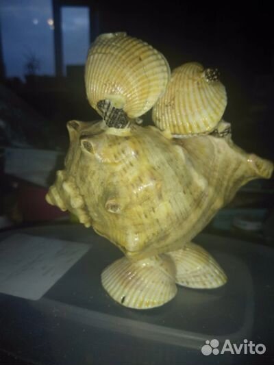 Сувениры из ракушек