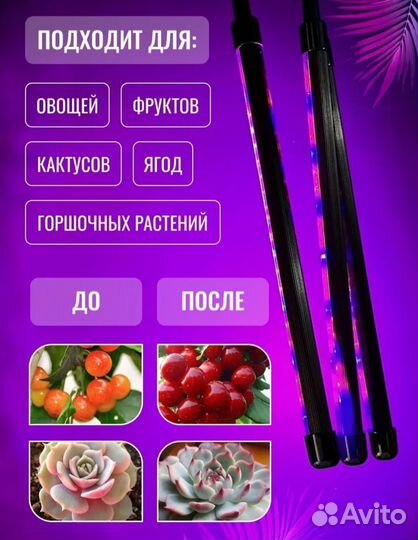 Фитолампа для растений