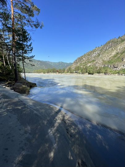 Участок 100 сот. (СНТ, ДНП)