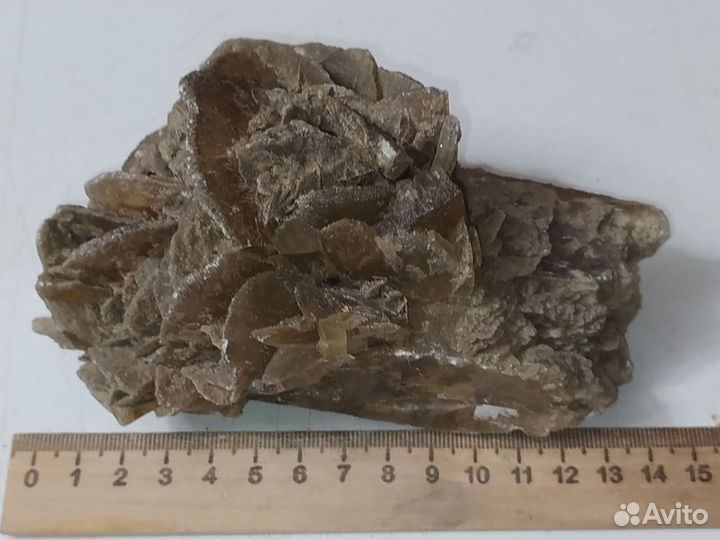 Гипсовая роза