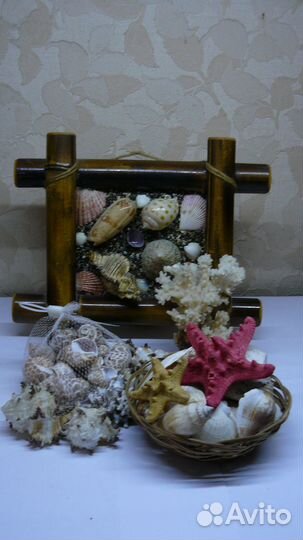 Морские ракушки (декор)