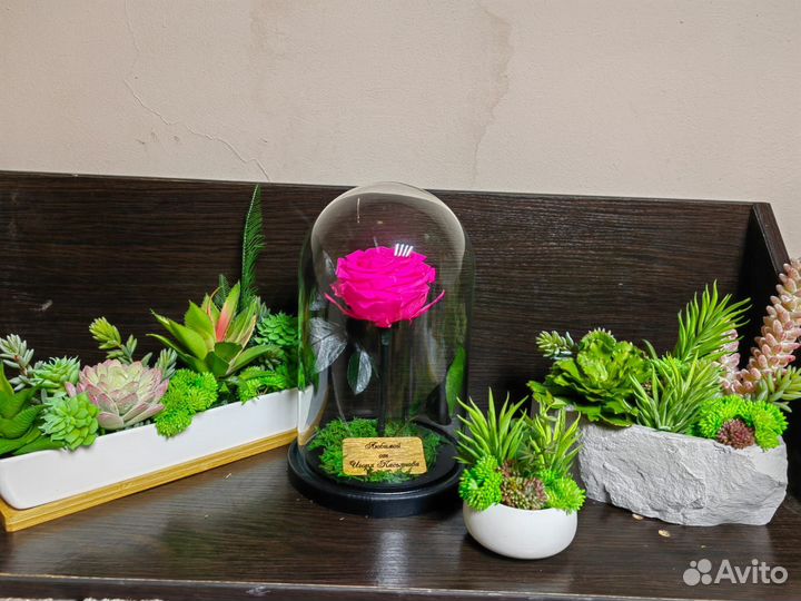 Флорариум Роза в колбе Цветы растения в кашпо, от