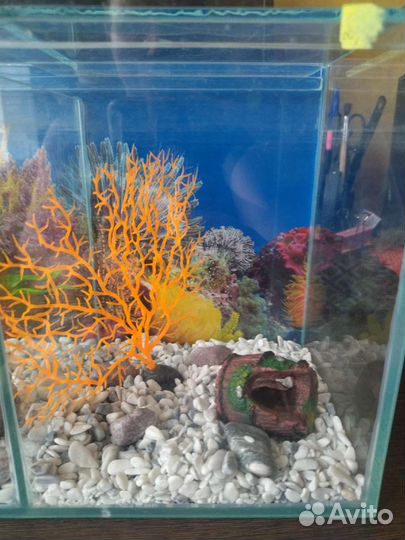 Аквариум