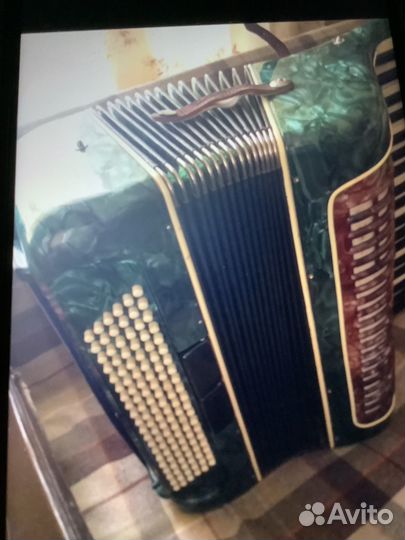 Аккордеон 