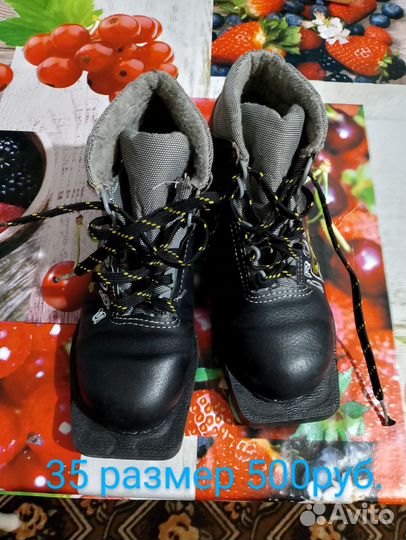 Лыжные ботинки