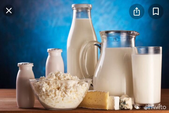 Молоко и молочные продукты