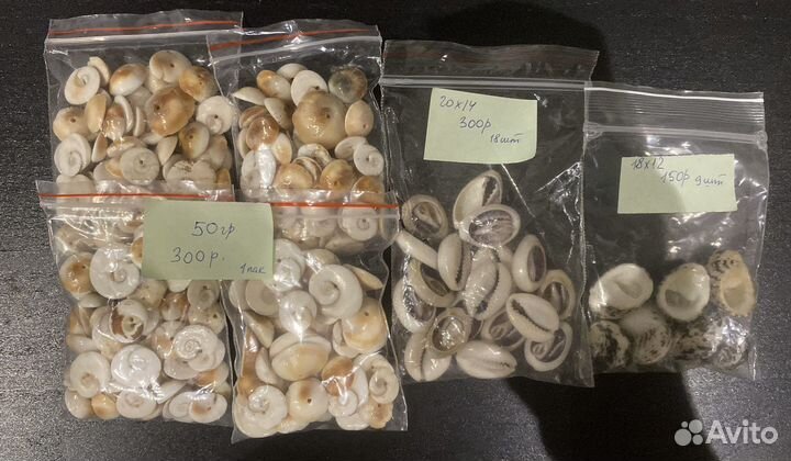 Ракушки бусины натуральный