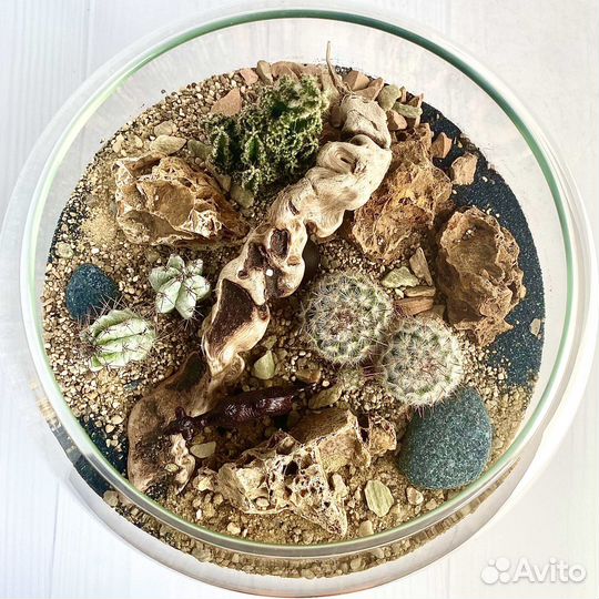 Флорариумы моссариумы подарки