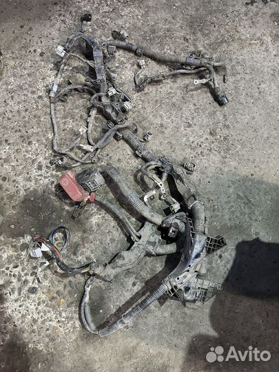 Коса двс Toyota Corolla E150