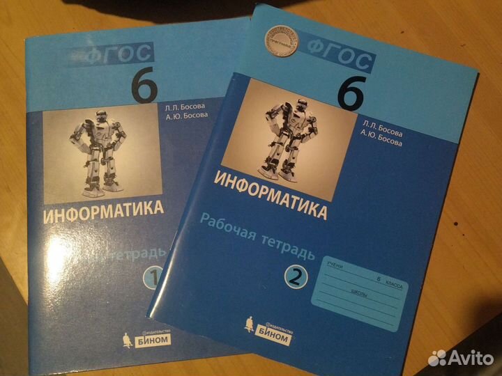 Информатика комплект из 2-х частей рабочая тетрадь