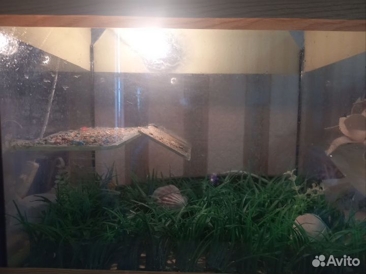 Аквариум для черепашки