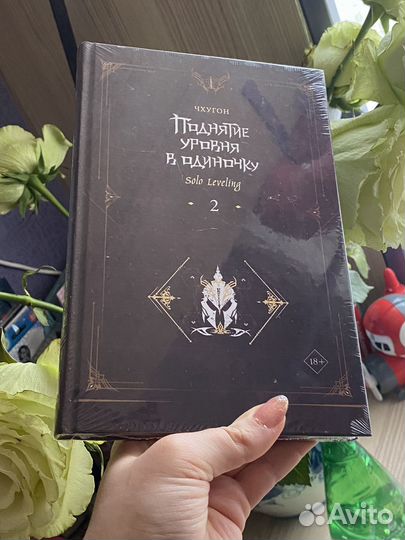 Поднятие уровня в одиночку 2 тома