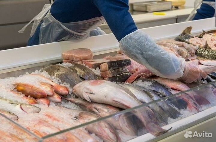 Готовый бизнес: рыбный магазин под ключ