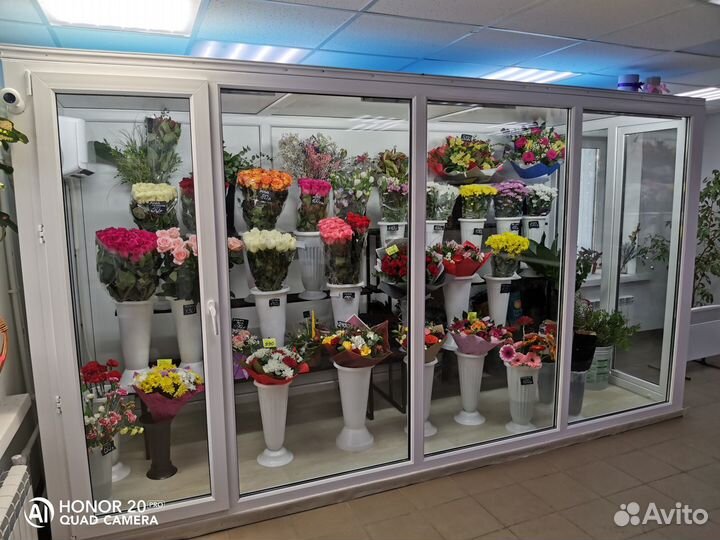 Холодильная камера под ключ