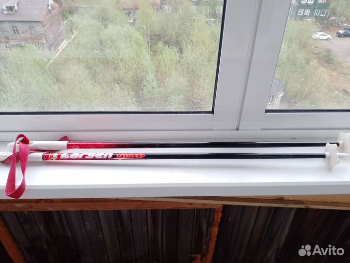 Лыжные палки ларсен