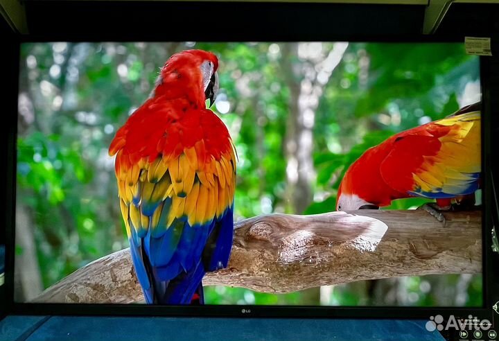 Телевизор LG 50 диагонали