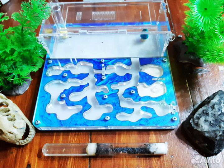 Муравьиная ферма Maxi + 