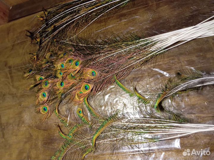 Павлиньи перья