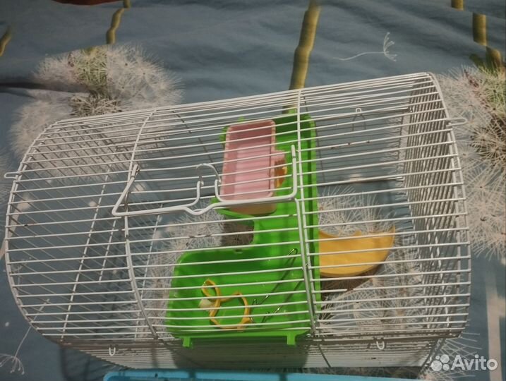 Клетка для хомяка с поилкой, горкой, колесом