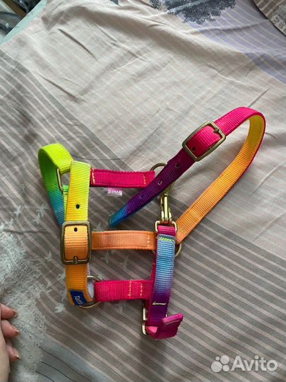 Недоуздок для пони tattini