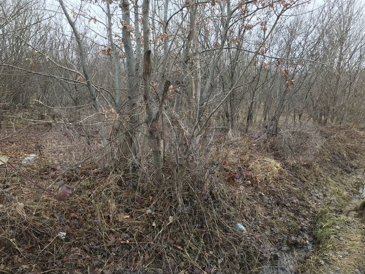 Участок 6 сот. (ИЖС)