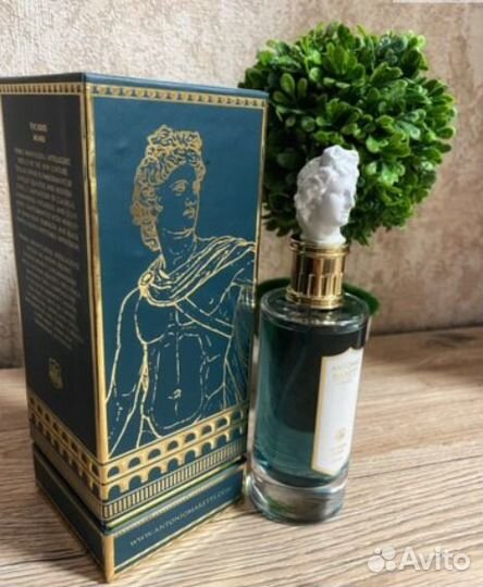 Antonio Maretti Vicious Mind (2022 ) 100 ml Мужско